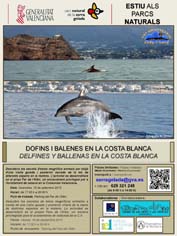 Medio Ambiente_cartel charla cetáceos en parque natural